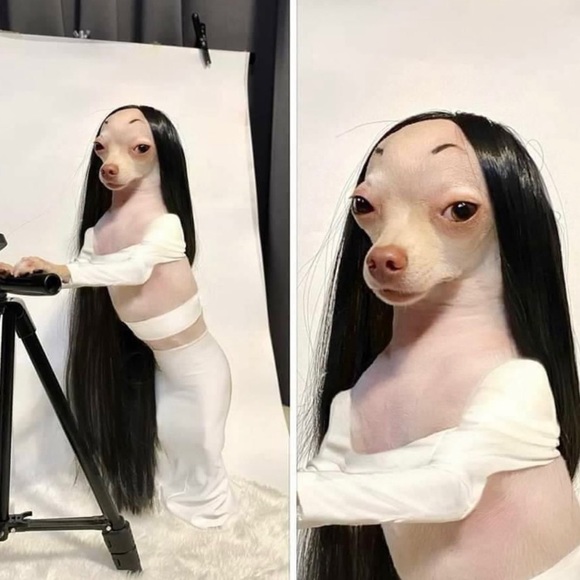 Meet your Posher, Sage - Picture 1 of 1